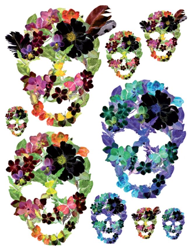 Self-adhesive wall decoration F 1060, Flower skulls, AG Design
