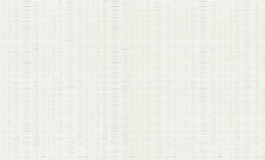 Luxury white-silver non-woven wallpaper, 86040, Valentin Yudashkin 5, Emiliana Parati