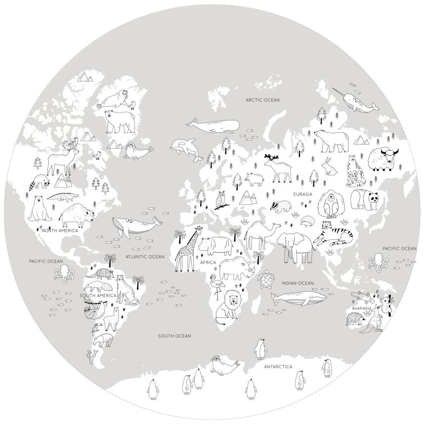 Pre-pasted children's non-woven wallpaper, World Map, PLC061, Platinum Shapes, Decoprint