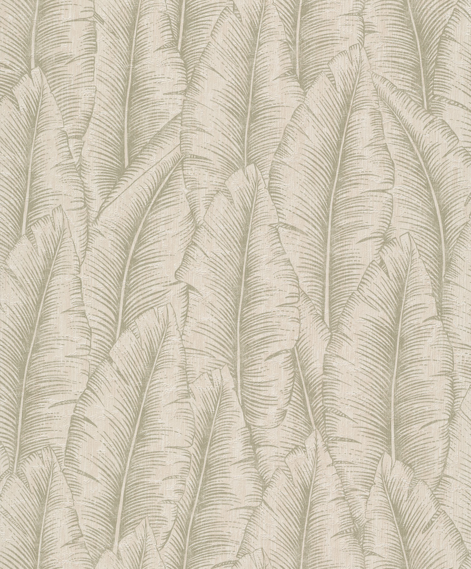 Green-cream wallpaper with leaves, CU3203, Cumaru, Grandeco