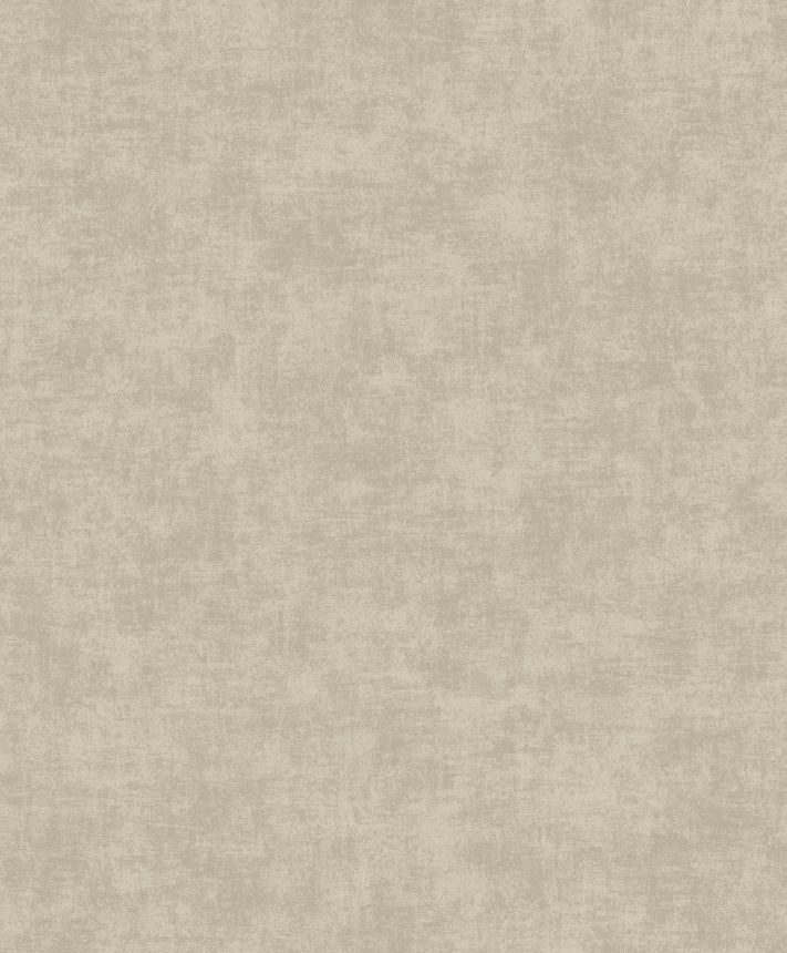 Grey-beige wallpaper, A53704, Vavex 2025
