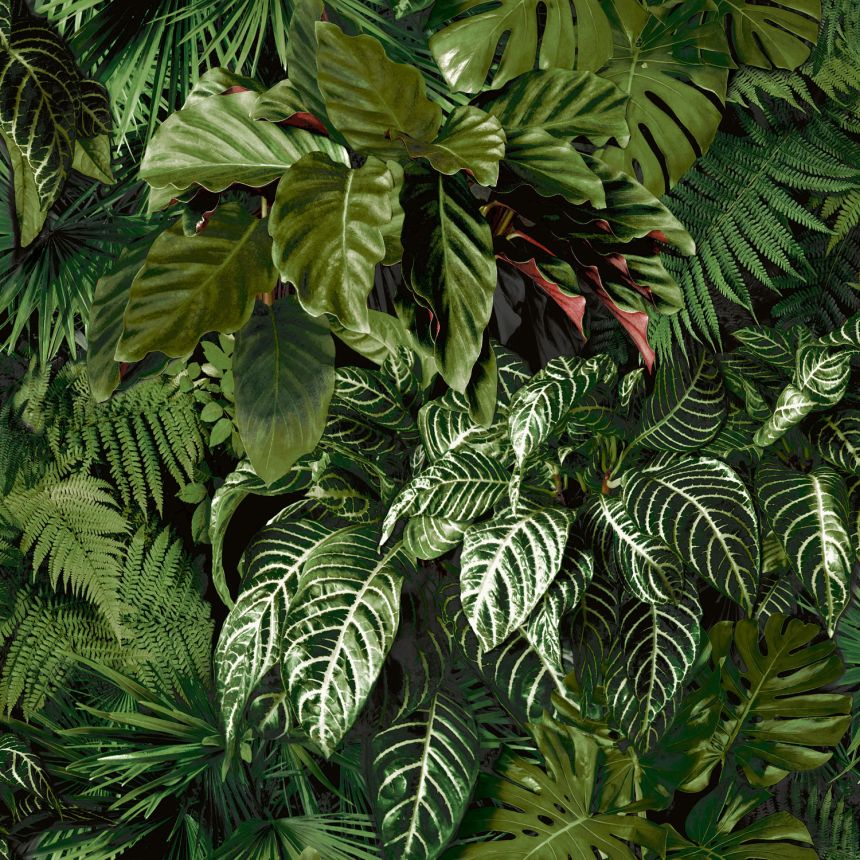 Green wallpaper with leaves, A58601, Vavex 2025