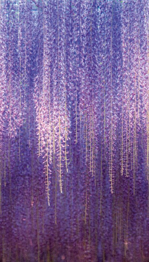 Floral wall mural, ML6501, Mural Young Edition, Grandeco