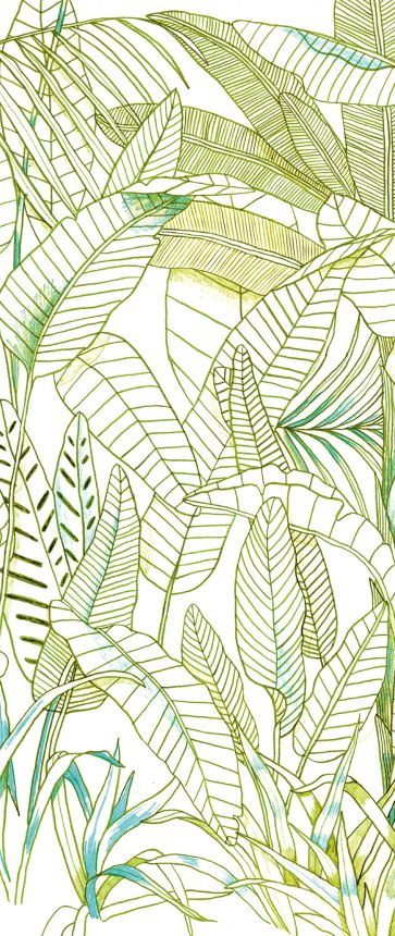 Green wall mural, Leaves, DG3GRA1012, Wall Designs III, Khroma by Masureel