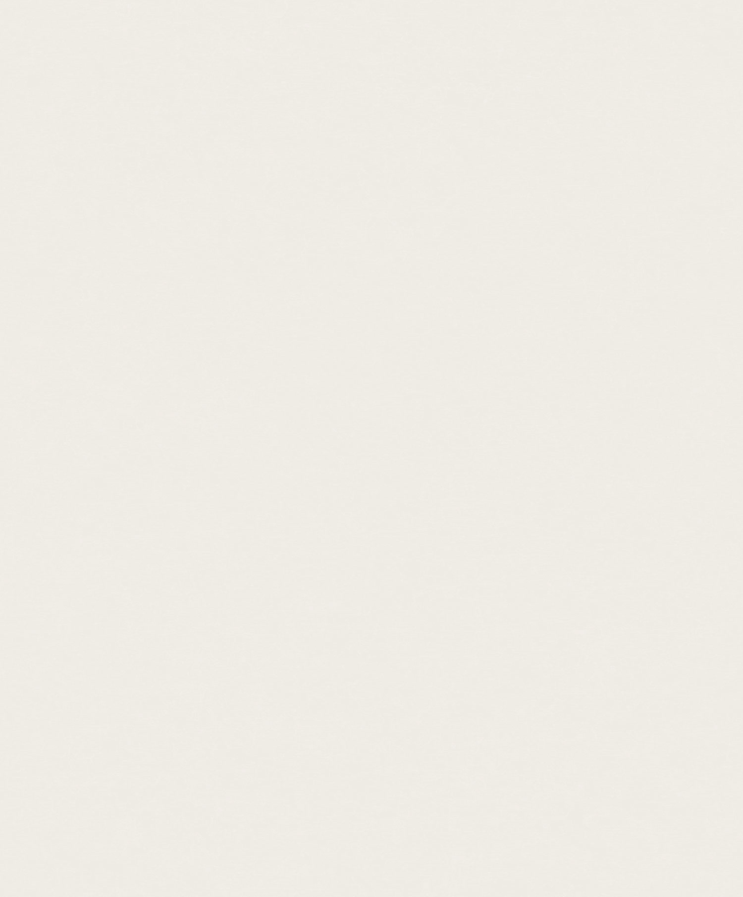 White wallpaper, plaster imitation, A65601, Vavex 2025
