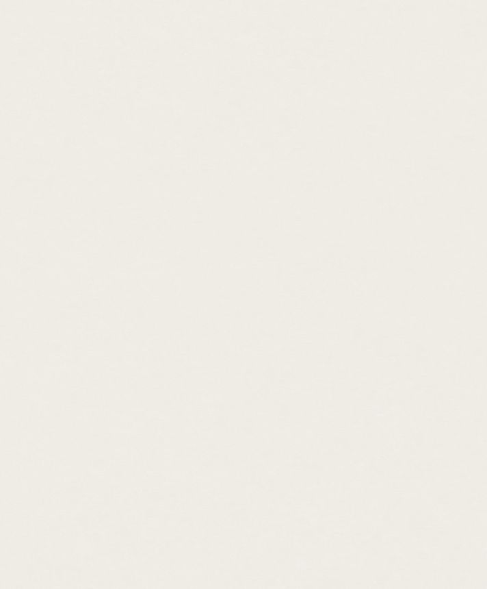 White wallpaper, plaster imitation, A65601, Vavex 2025