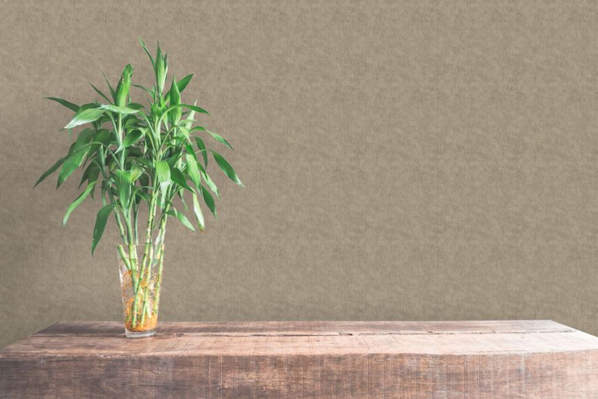 Non-woven wallpaper, brown, fabric imitation, NHW1007, Perla, Decoprint