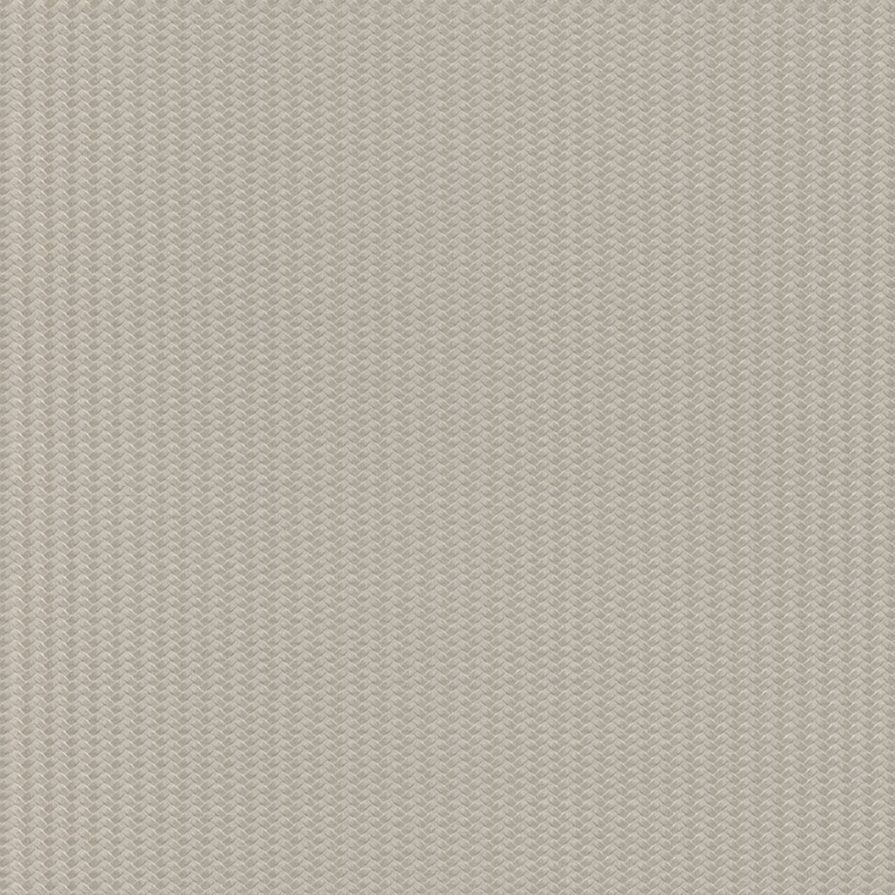 Luxury grey-beige non-woven wallpaper, Z12839, Automobili Lamborghini 3