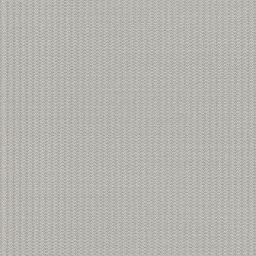 Luxury gray-silver non-woven wallpaper, Z12843, Automobili Lamborghini 3