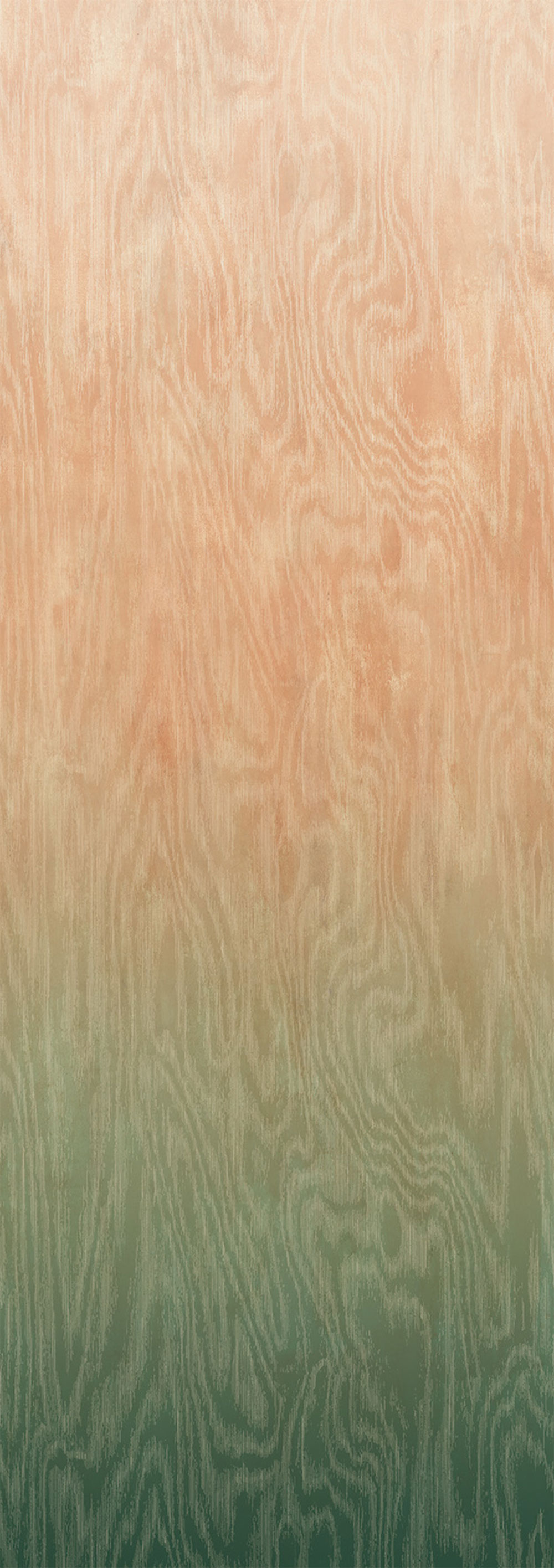 Non-woven wall mural, Moiré, DG4MOI1082-300, Wall Designs IV, Khroma by Masureel