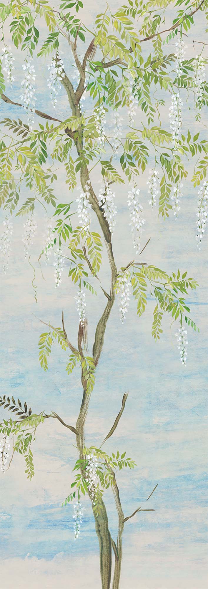Non-woven wall mural, flowers, trees, wisteria, DG4PAT1023-260, Wall Designs IV, Khroma by Masureel