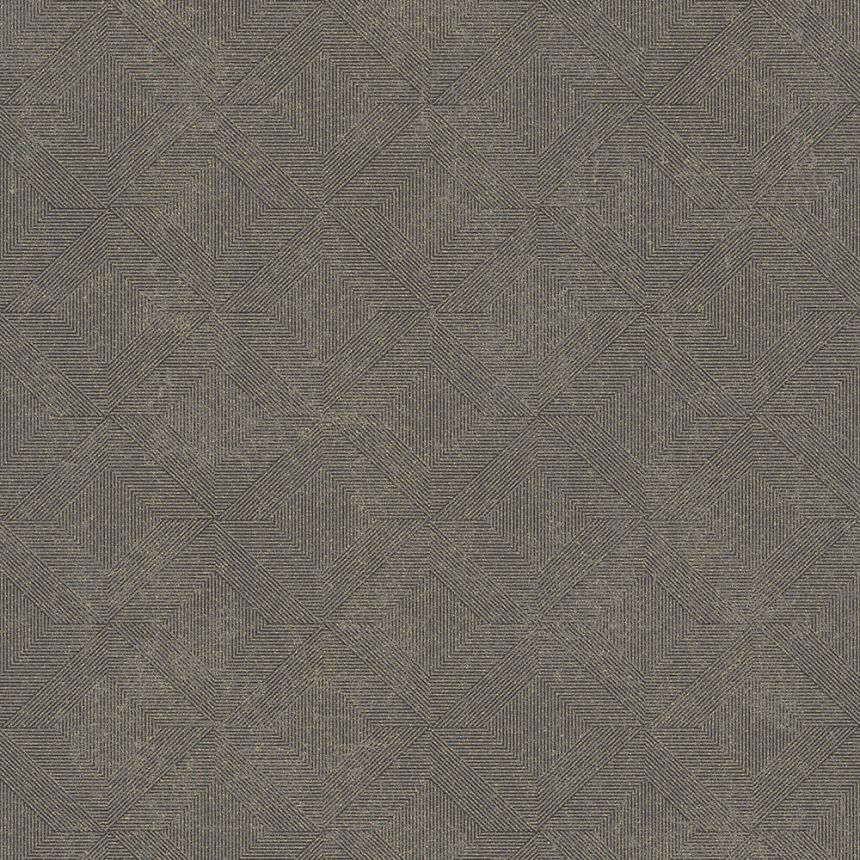 Gray-brown geometric non-woven wallpaper, A68201, Vavex 2026