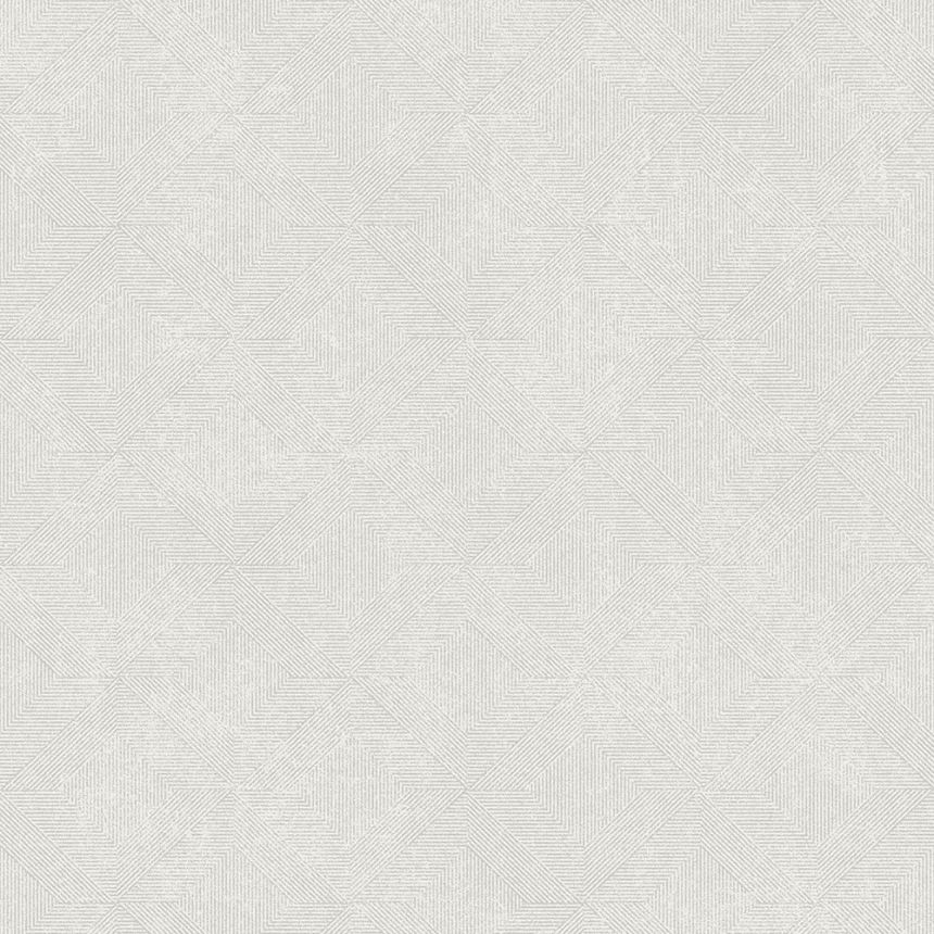 Gray geometric non-woven wallpaper, A68202, Vavex 2026