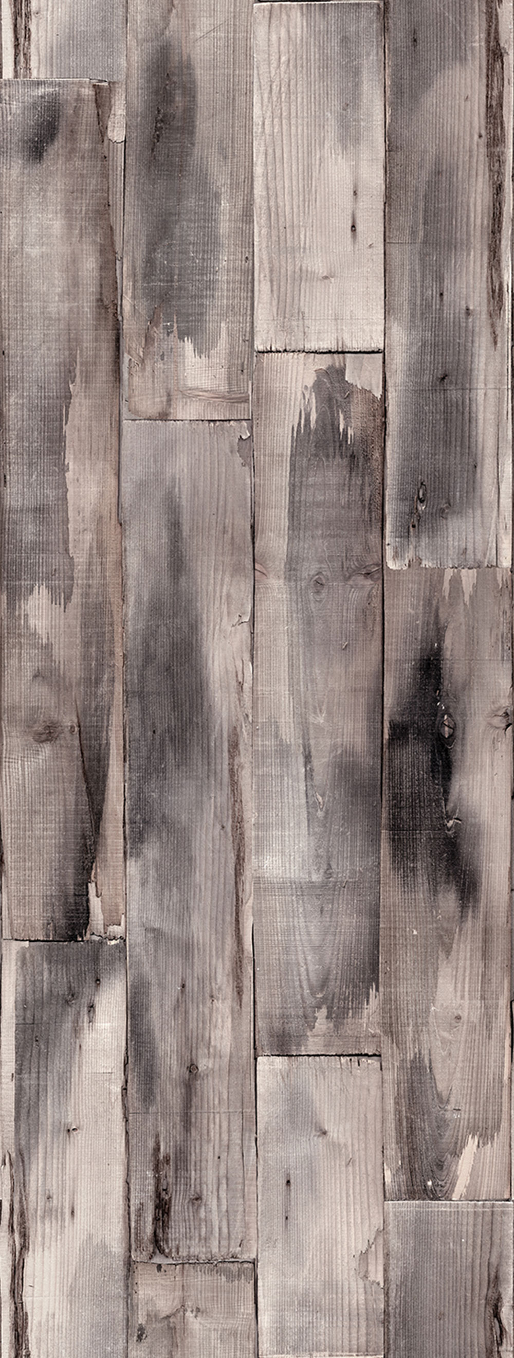 Non-woven wall mural, grey, wood, FW4051-11, Feature Walls, Decoprint