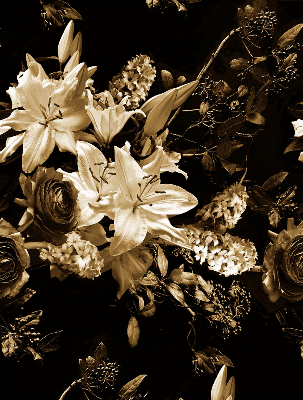 Non-woven wall mural, flowers, FW4065-2, Feature Walls, Decoprint