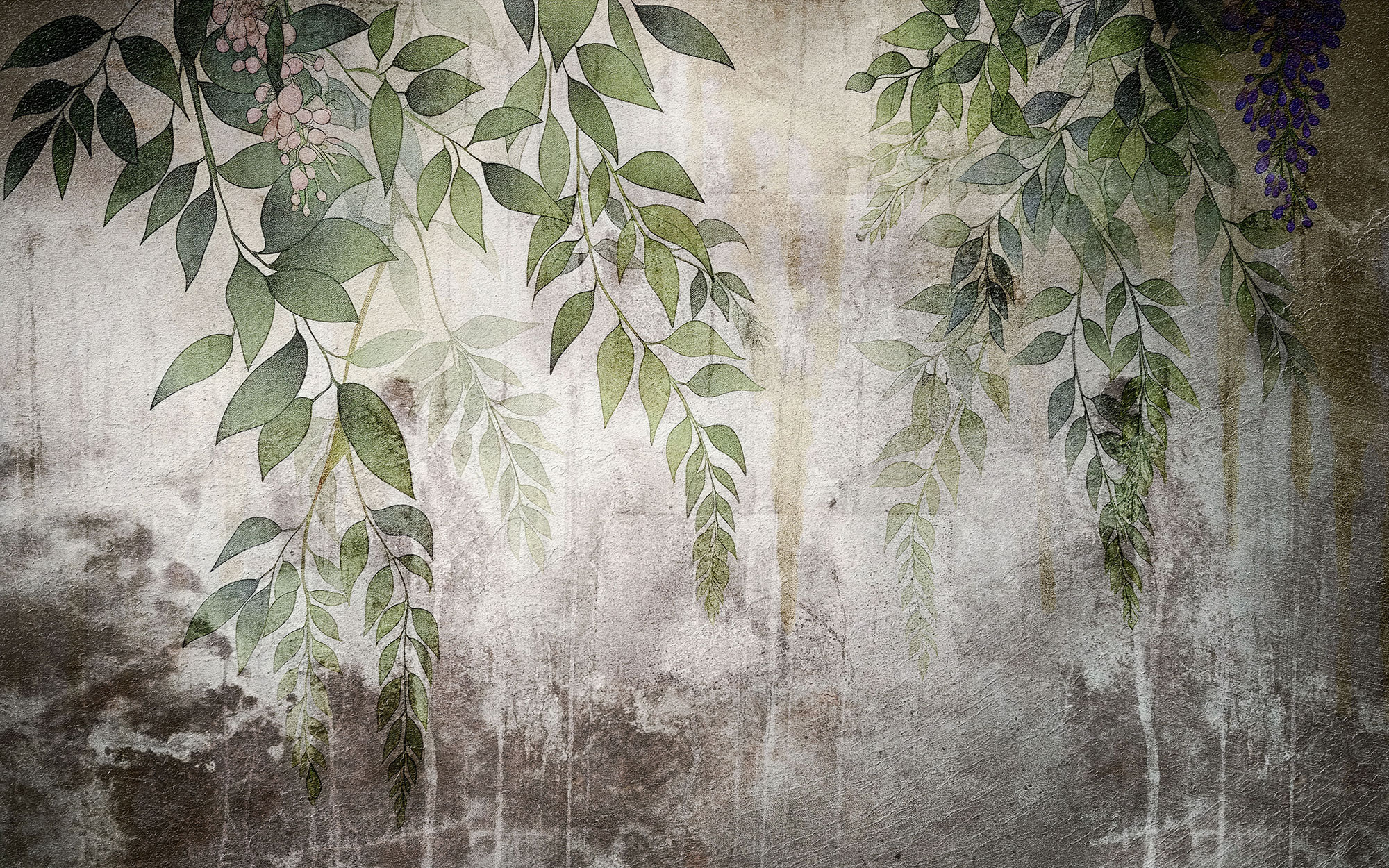Customized wall mural, Branches Wisteria, 10079, Vavex