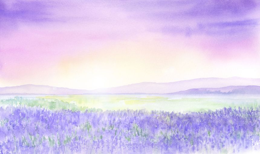 Customized non-woven wall mural, Watercolor lavender field, 10168, Vavex