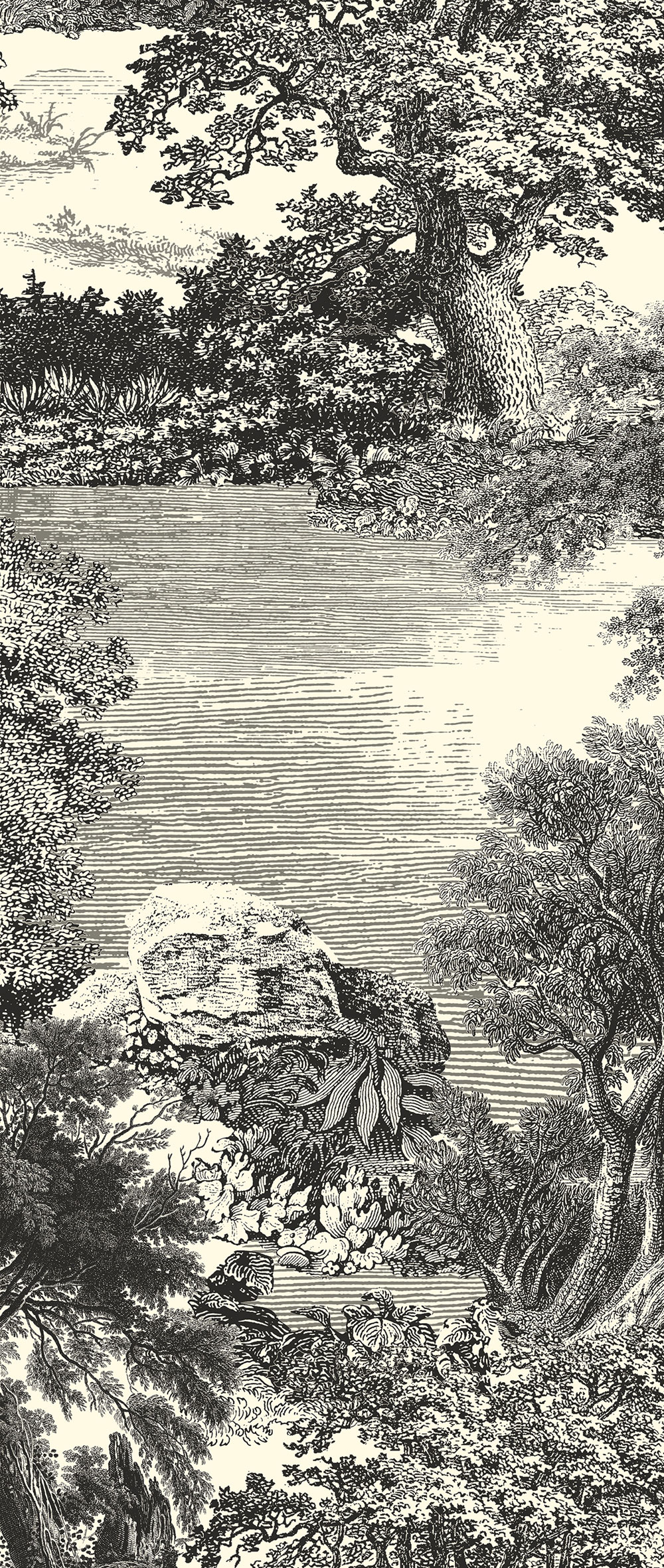 Mural wallpaper, black, forest, trees, DGSAL1011-300, Amazone, Masureel