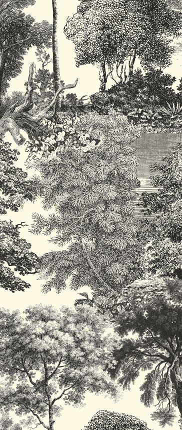 Mural wallpaper, black, forest, trees, DGSAL1012-300, Amazone, Masureel