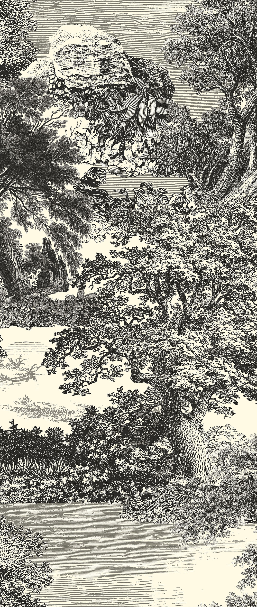 Mural wallpaper, black, forest, trees, DGSAL1013-260, Amazone, Masureel