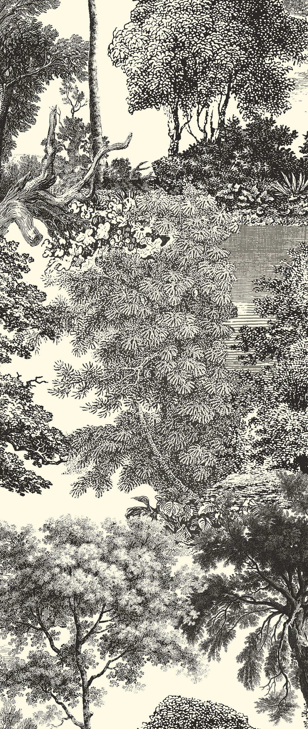 Mural wallpaper, black, forest, trees, DGSAL1014-300, Amazone, Masureel