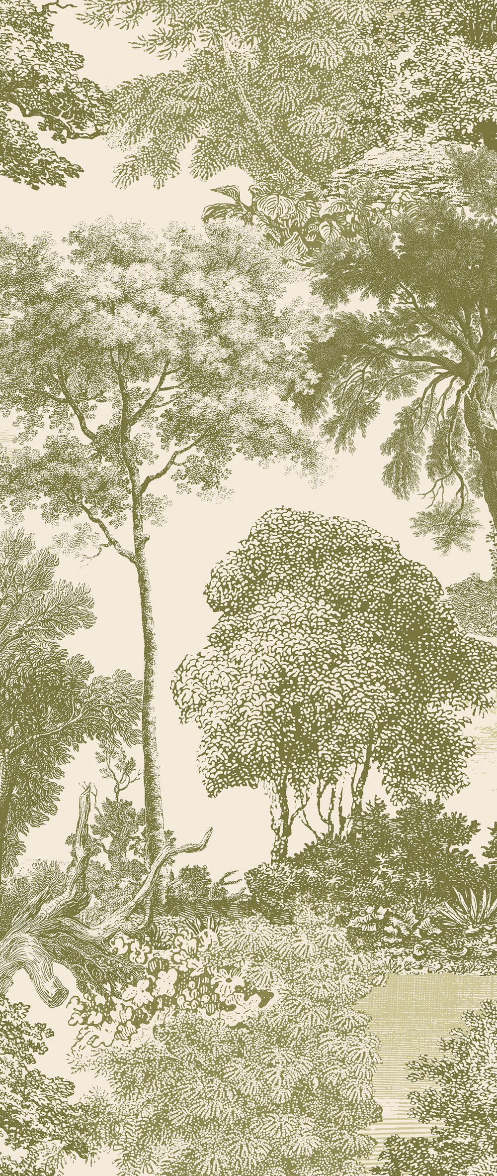 Mural wallpaper, green, forest, trees, DGSAL1032-300, Amazone, Masureel