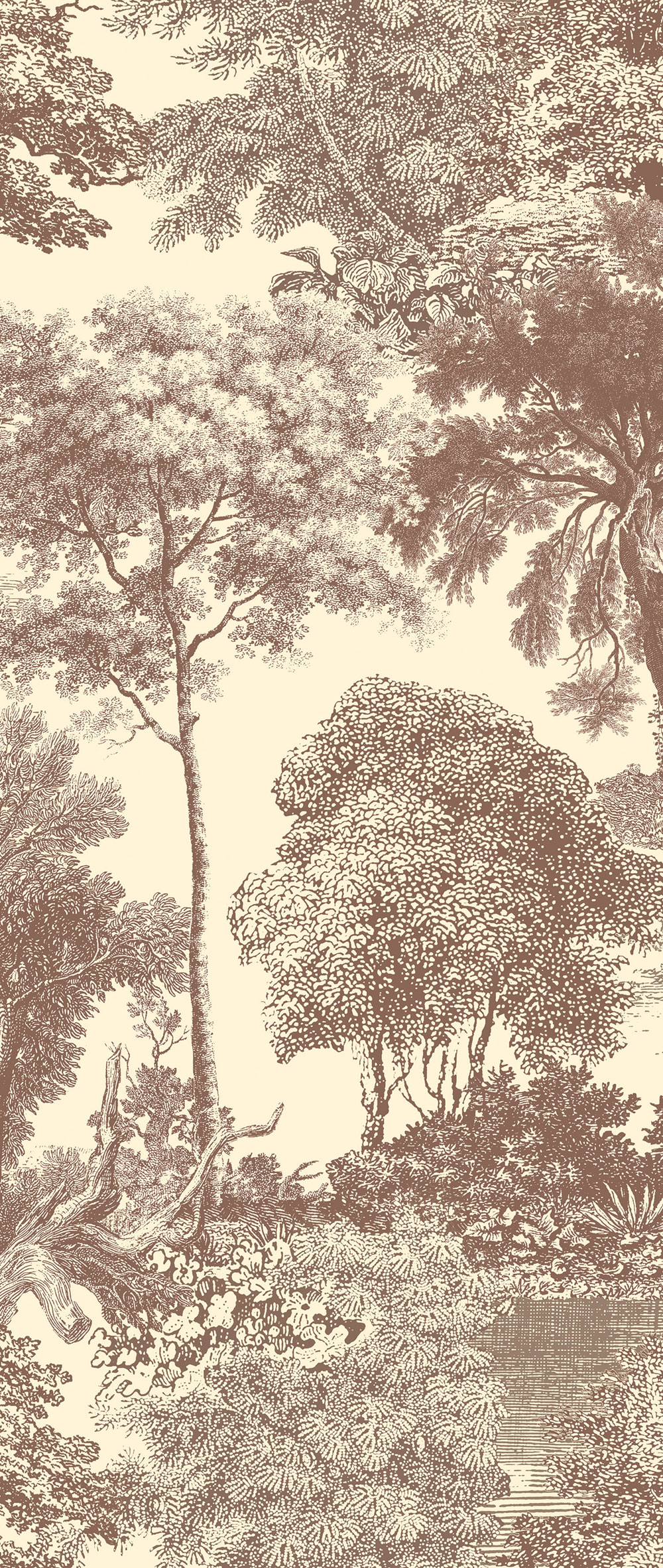 Mural wallpaper, brown, forest, trees, DGSAL1042-300, Amazone, Masureel