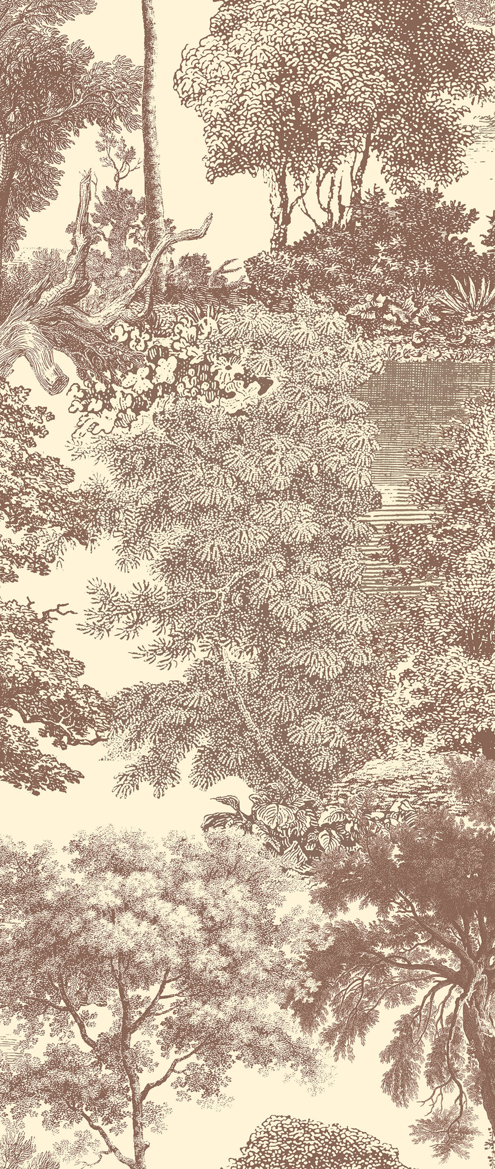 Mural wallpaper, brown, forest, trees, DGSAL1044-300, Amazone, Masureel