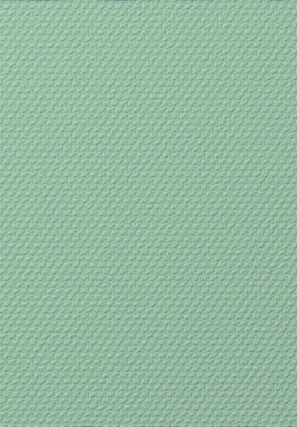 Paintable glass fiber wallpaper T1010, Old Friends II, Vavex 2025