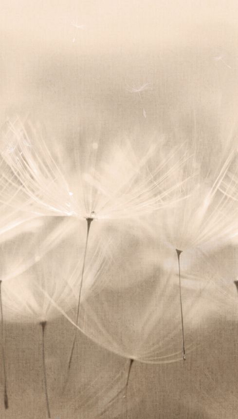 Beige wallpaper, Dandelions, 203801, One roll, one motif 2, Grandeco
