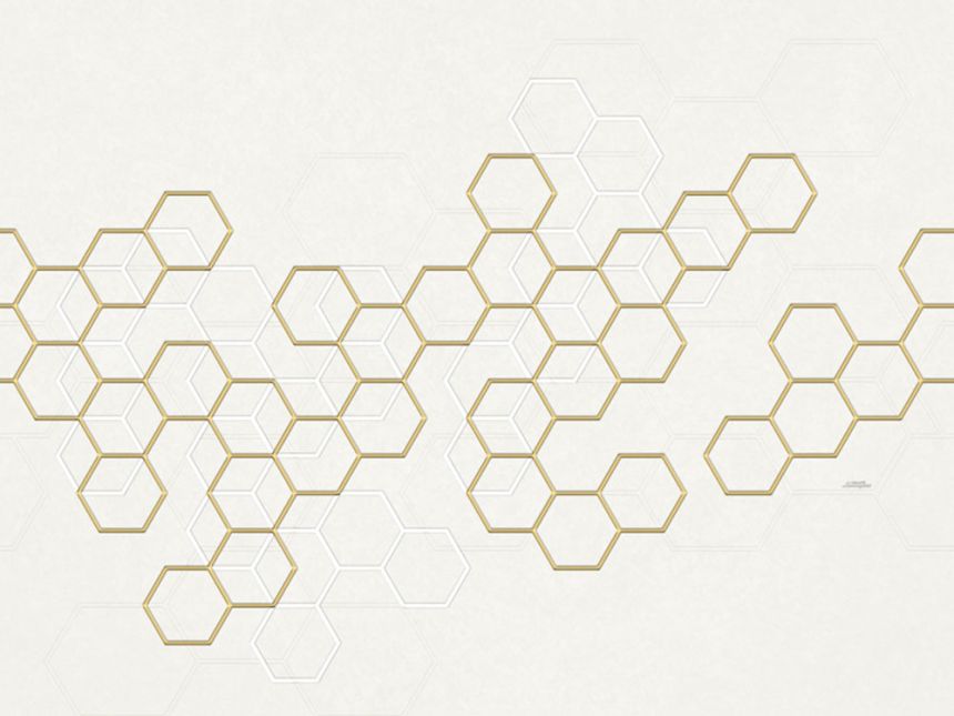 Luxury geometric wall mural with hexagons Z90068, 330 x 300 cm, Automobili Lamborghini 2, Zambaiti Parati