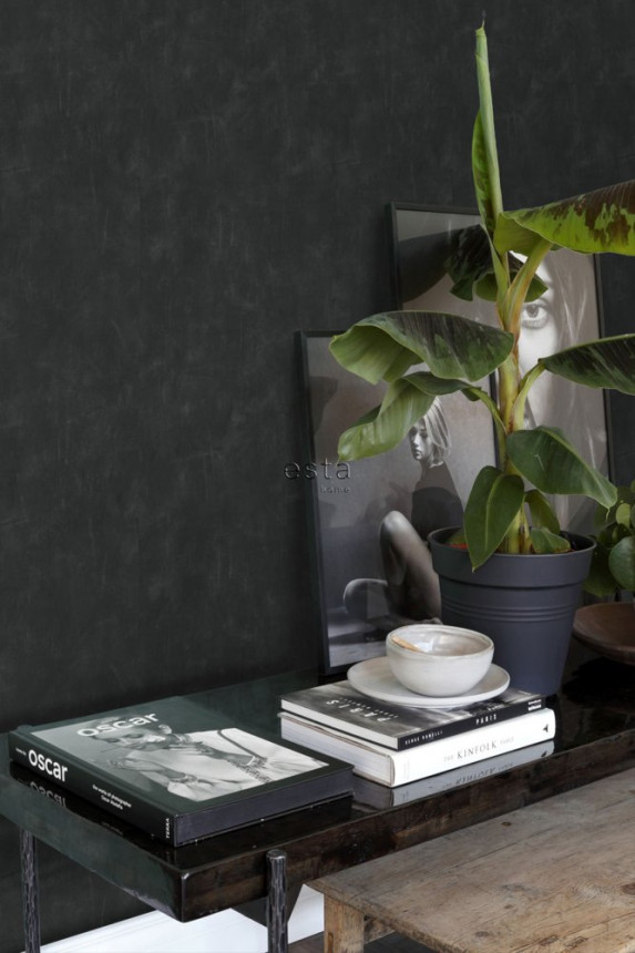 Black non-woven wallpaper 136408, Black & White, Esta