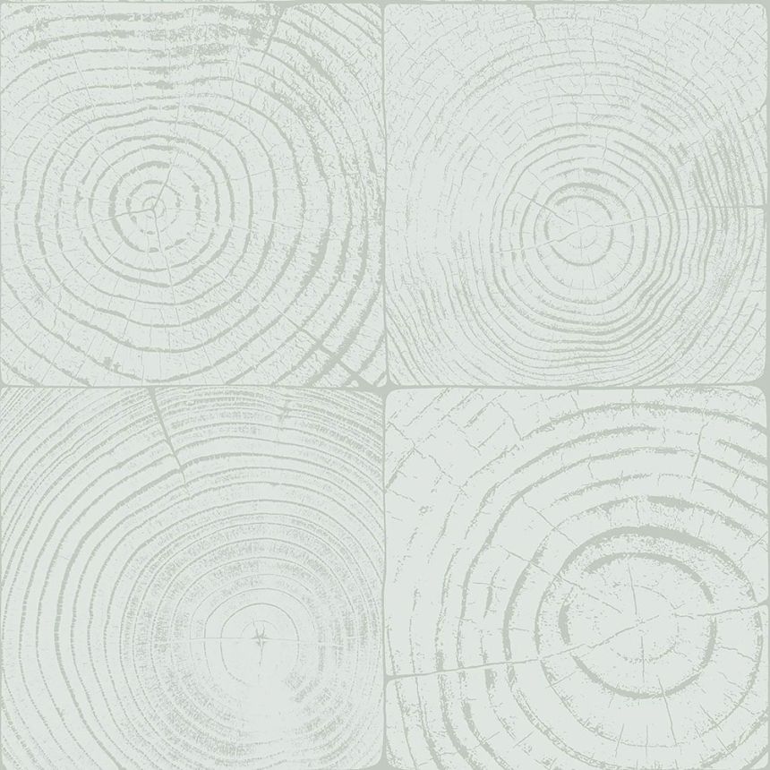 Light turquoise non-woven wallpaper, imitation wood with annual rings 347545, Matières - Wood, Origin