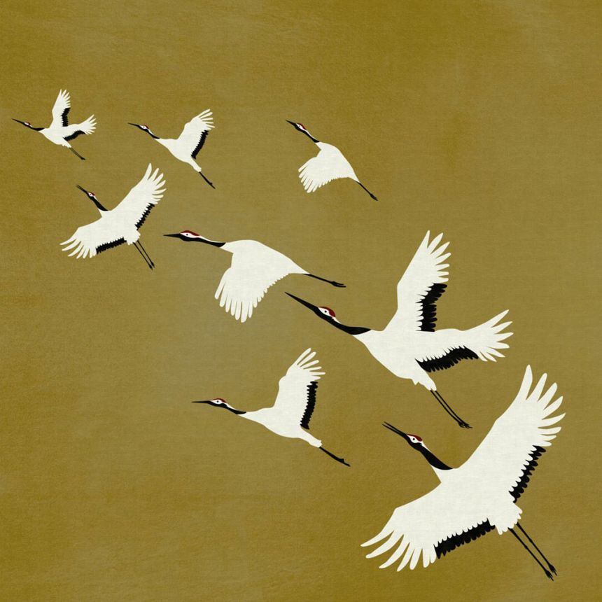 Non-woven wall mural birds in flight 357236, 300 x 300 cm, Natural Fabrics, Origin